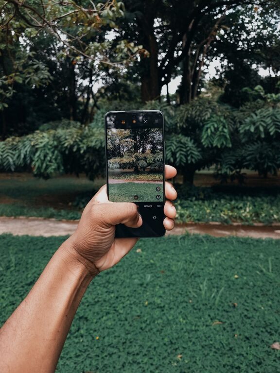 Beginner Tips for Taking Better Phone Photos